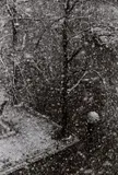 Herbert List, Erster Schnee (View from the photographer's studio, Munich-Schwabing)