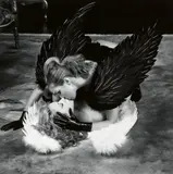 Guido Argentini, Love simply is, 1996, Pigment print on aluminium, printed