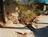 Hoff Avenue, Tucson, Arizona, December 6, 1976 by Stephen Shore, 1976, Chromogenic print on Fujicolor-Crystal-Archive paper, offered Dec 2020