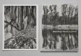Albert Renger-Patzsch, Das Spätwerk. Bäume, Landschaften, Gestein