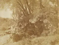 Giacomo Caneva, Study with Rocks and Trees, Campagna Romana, c. 1853 - 1855, Albumenized salt print from paper negative