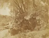 Giacomo Caneva, Study with Rocks and Trees, Campagna Romana, c. 1853 - 1855, Albumenized salt print from paper negative