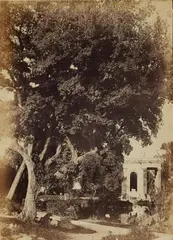 attributed to Giacomo Caneva, The Pond at Villa Borghese, 1853 - 1855, Albumen print, printed 1860s from paper negative