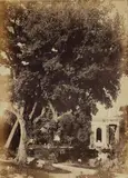 attributed to Giacomo Caneva, The Pond at Villa Borghese, 1853 - 1855, Albumen print, printed 1860s from paper negative