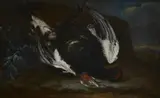 attributed to Philipp Ferdinand de Hamilton, Still Life with Birds, Oil on canvas (relined)