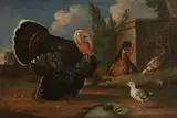Johann Georg Wendel, Poultry by a Village, Oil on canvas
