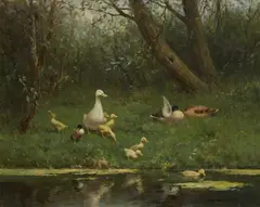 Constant Artz, Ducks by the Water, Oil on canvas