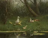 Constant Artz, Ducks by the Water, Oil on canvas