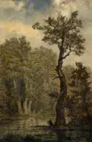 Carl Gustav Carus, Wooded Landscape