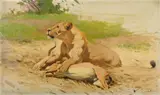 Wilhelm Kuhnert, Lioness with a Gazelle