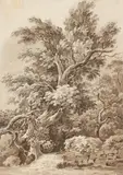 Adrian Zingg, Landscape View with a Small Waterfall, Brown ink and was