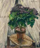Mela Muter, Blumenstillleben