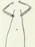 Silvia Bächli, Untitled