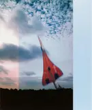 Wolfgang Tillmans, Double Concorde Uniques, 2017, Offset lithograp