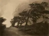 Léonard Misonne, La vie est dure, 1933, Oil print