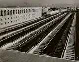 Herbert List, Untitled (Roma Termini)