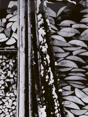 Brennholz by Janos Szasz, 1960s, Vintage ferrotyped gelatin silver print, offered Jun 2020