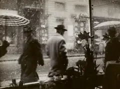 Demeter Balla, Hull a hó, 1959, Vintage gelatin silver print