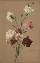 Gustav Feith, Carnations, Gouache on grey paper, laid down on card