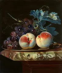 Willem van Aelst, Still Life with two Peaches and Grapes on a Pewter Plate with a Dragonfly on a Marble Slab, Oil on canvas (relined)