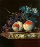 Willem van Aelst, Still Life with two Peaches and Grapes on a Pewter Plate with a Dragonfly on a Marble Slab, Oil on canvas (relined)