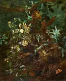 Isac Vromans, Sous-bois Still Life with a Nest, Dragonfly, Butterfly, Lizard, and white Azaleas, Oil on canvas (relined)