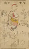 Three medical acupuncture diagrams with depicitions of the human body and its organs with all acupuncture points, meridians and channels. Ink and a few colours on paper. Wooden ... by Anonymer Maler des 19. Jh., Three medical acupuncture diagrams with depicitions of the human body and its organs with all acupuncture points, meridi, sold Dec 2019