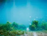 Blaue Quelle by Gisela Bullacher, 1999, Chromogenic print on card, faced mounted to plexiglas, sold Dec 2019