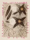 Michael Buthe, Espagna, 1974/1977, 6 hand coloured etchings on paper