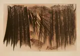Hans Hartung, FARANDOLE, suite B, pl. V