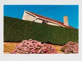 Martin Parr, West Bay