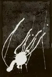 Sigmar Polke, Untitled (Griffelkunst 1989), 1989, Silkscreen on black flock coated paper