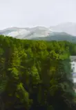 Waldhaus by Gerhard Richter, 2018, Digital pigment print on aluminium, sold Nov 2019