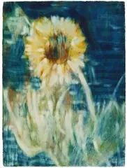 Christian Rohlfs, Sonnenblume im Mondlicht, 1934, Water tempera and coloured chalk on watercolour laid paper with watermark "PM FABRIANO", mounted on card