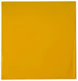 Joseph Marioni, Yellow Painting