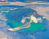 Turtle by Andy Warhol, 1985, Farbserigraphie auf Karton, sold Nov 2019