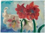 Emil Nolde, Weiße und rote Amaryllis