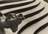 Max Baur, Treppe zum Schloss, Veitshöchheim, Probably 1930s, Vintage ferrotyped gelatin silver print