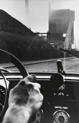 Schachtanlage Morgenstern, Zwickau, sächsischer Steinkohlenbezirk by Edmund Kesting, 1930s, Vintage ferrotyped gelatin silver print on Agfa-Brovira paper, sold Nov 2019