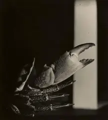 Jaroslav Rössler, Untitled, 1928, Vintage gelatin silver print