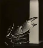 Jaroslav Rössler, Untitled, 1928, Vintage gelatin silver print