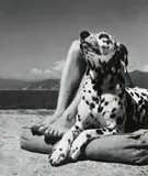 Herbert List, Master and dog, Portofino, Italy