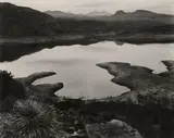 San Carlos Lake, Arizona by Edward Weston, 1937, Gelatin silver print, probably printed 1940s, offered Nov 2019