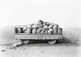 Heinrich Riebesehl, Schillerslage, Hannover (from the series: Agrarlandschaften), October 1978, Gelatin silver print, printed