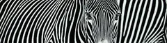 David Yarrow, Parallel Lines, 2018, Archival pigment print on Hahnemühle paper, flush-mounted to foamboard