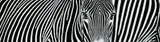 David Yarrow, Parallel Lines, 2018, Archival pigment print on Hahnemühle paper, flush-mounted to foamboard