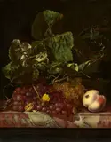 Nicolaes Lachtropius, Fruit Still Life with Grapevines and Insects, Oil on canvas (relined)