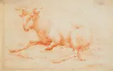 Johann Heinrich Roos, A Recumbent Ram, Red chalk on textured watermarked paper