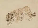 Creeping Leopard by Ludwig Heinrich Jungnickel, Watercolour and charcoal on paper. Monogrammed lower right: lhj Framed under glass, offered Sep 2019