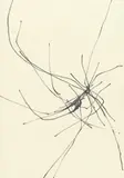 Norbert Kricke, 67/020, 1967, India ink on paper